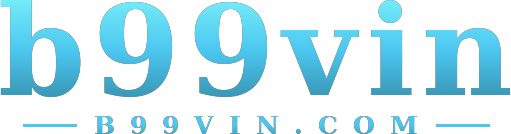 b99vin logo